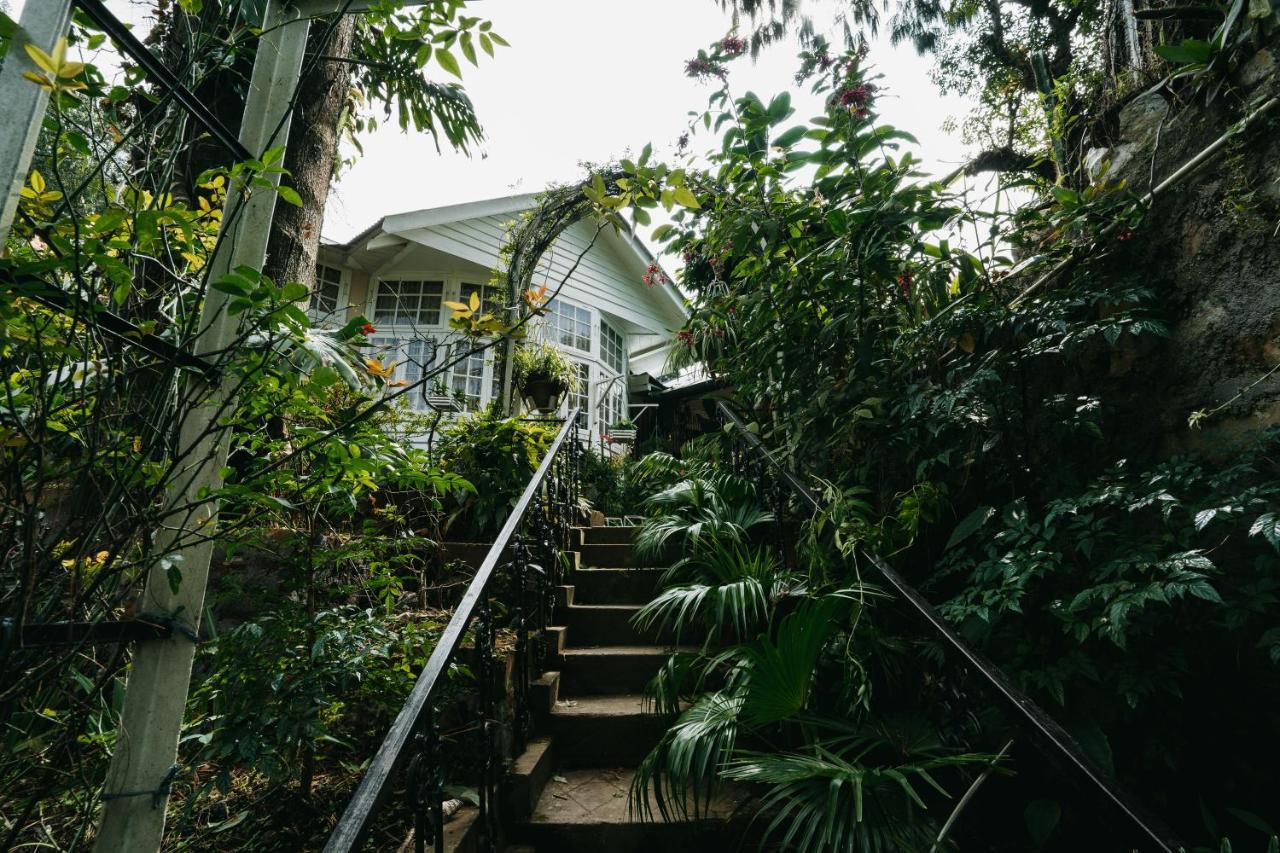 Rock Cliff Home Stayシロン エクステリア 写真